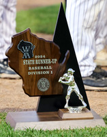6-13-24 STATE Championship vs. DePere (2)
