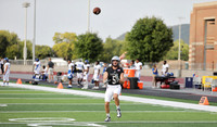 5 Elijah Alt  (1)