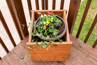 5-18-25 Flowers Outside
