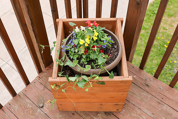 5-18-25 Flowers Outside