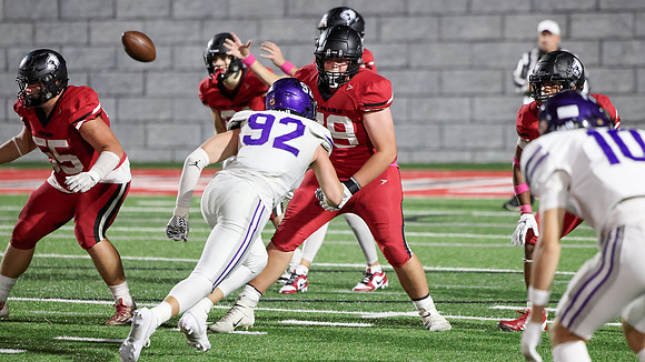 79 Edward Witkiewicz (12)