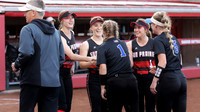6-10-22 STATE SEMIFINAL vs. Oak Creek (10)