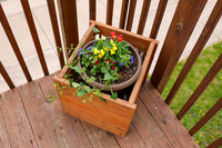 5-18-25 Flowers Outside