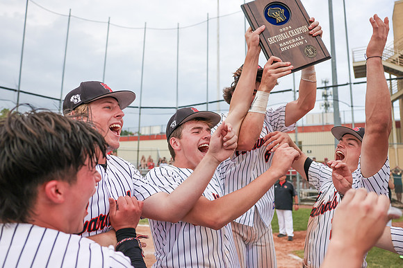 6-4-24 Sectional Final vs. Monona Grove  (3001)