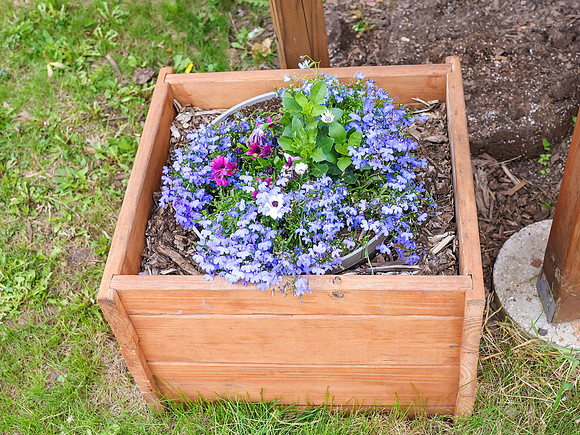5-18-25 Flowers Outside