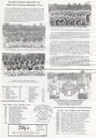 1993 (20)