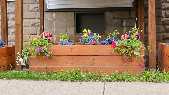 5-18-25 Flowers Outside