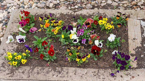5-18-25 Service, Flowers & New Sign