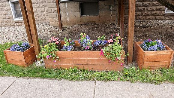 5-18-25 Flowers Outside