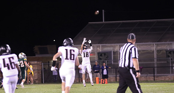 18 Cooper White  (4)