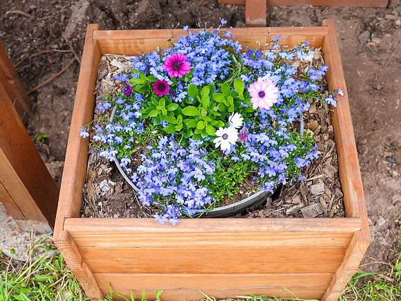 5-18-25 Service, Flowers & New Sign
