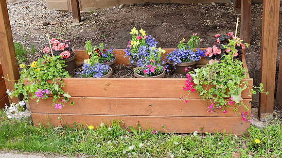 5-18-25 Flowers Outside