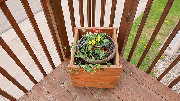 5-18-25 Flowers Outside